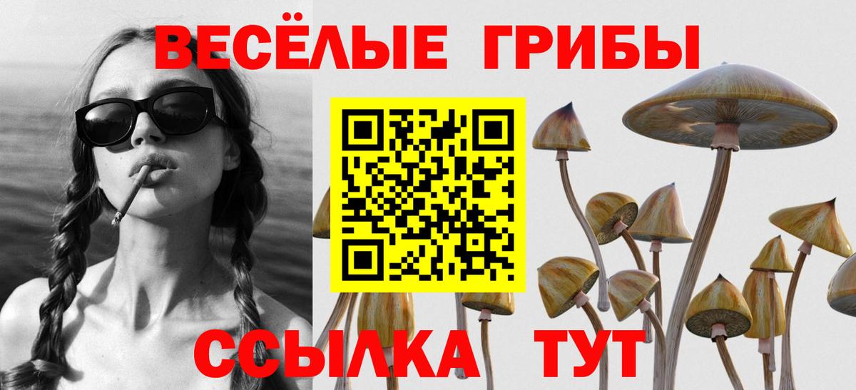 Пыть-Ях  Псилоцибиновые грибы GOLDEN TEACHER  Вход с VPN 